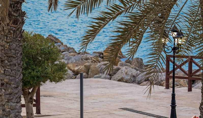 Orient - Turkish restaurant(8)